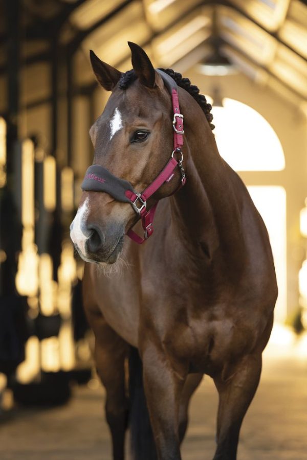 LeMieux® Vogue Halter & Lead Rope Set - Image 3