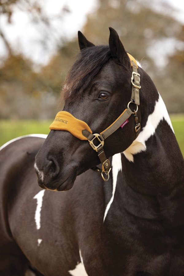 LeMieux® Vogue Halter & Lead Rope Set - Image 4
