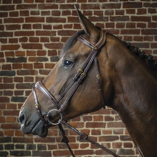 Dy'on® Anatomic Bridle - Image 4