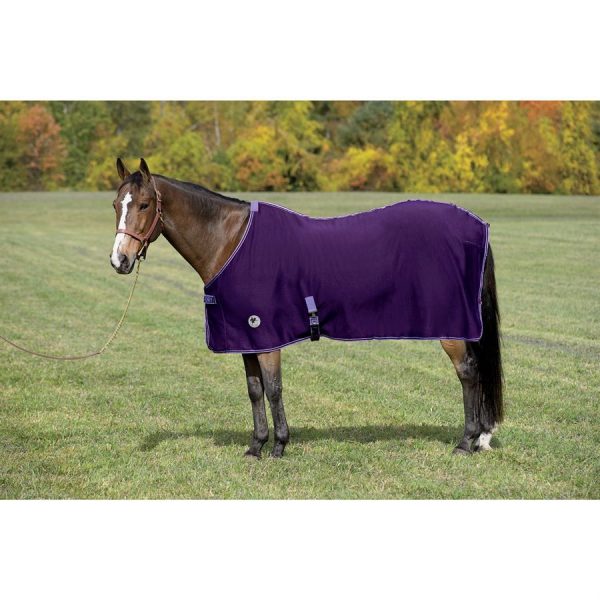 Centaur® Turbo-Dry™ Sheet - Image 2