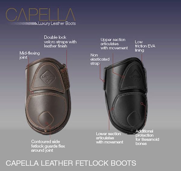 LeMieux® Capella Fetlock Boots - Image 3