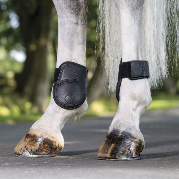 LeMieux® Capella Fetlock Boots - Image 2