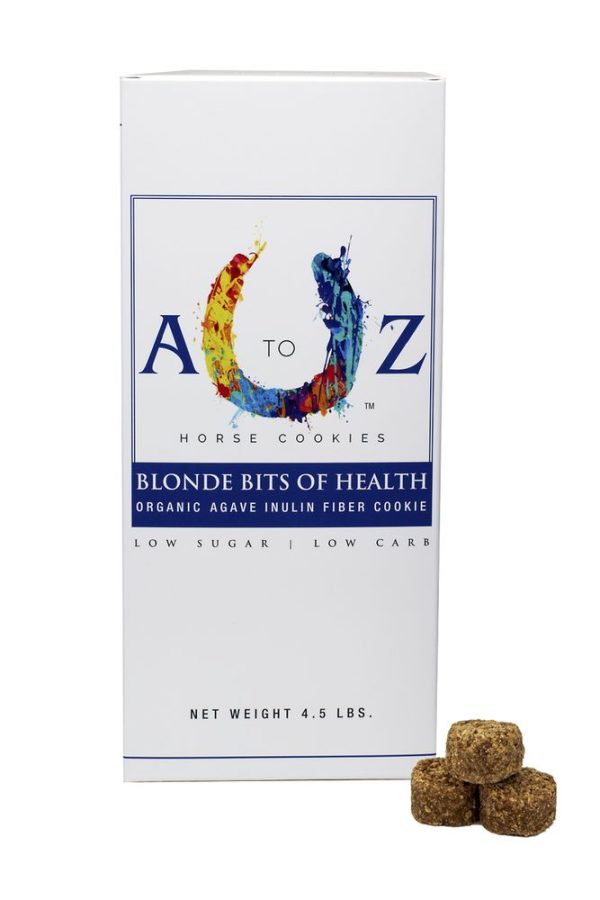 A to Z Horse Cookies Blonde Bits of Health