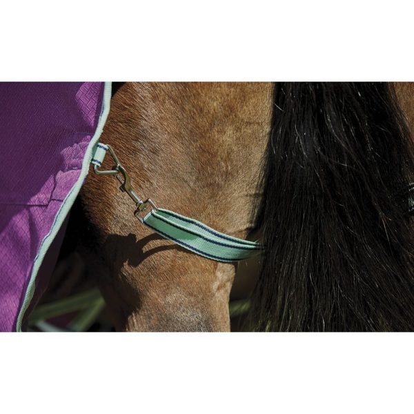 WeatherBeeta® Pony ComFiTec™ Premier Free II Standard Neck Lite Turnout - Image 8