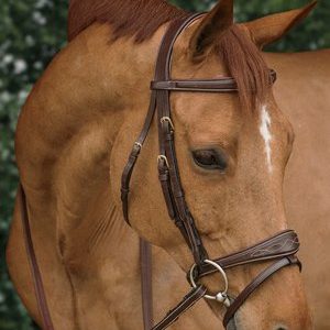 Bridles & Parts