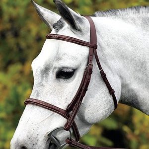 Pony Tack and Accessories